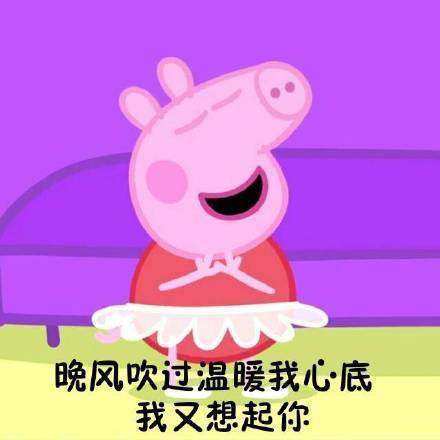 小猪佩奇连名牌都不认识几个系列表情包大全【多图】