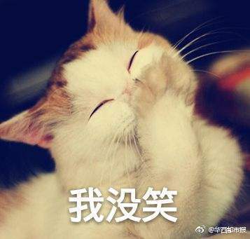 妹子何必嫁这货什么梗_结婚证妹子何必嫁这货什么意思
