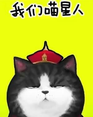 抖音我们喵星人就是辣么拽是什么歌 我们喵星人就是辣么拽表情包汇总