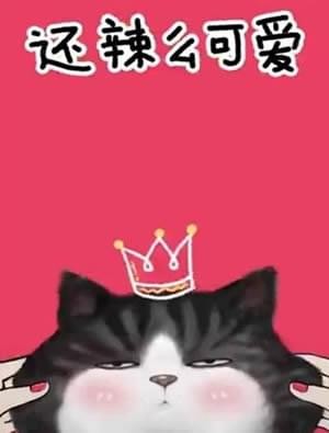 抖音我们喵星人就是辣么拽是什么歌 我们喵星人就是辣么拽表情包汇总