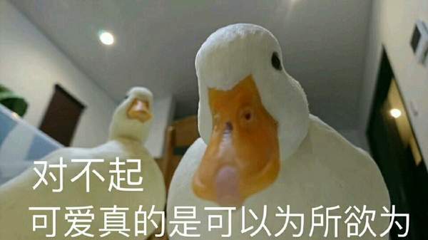 邪恶表情图第1期：诸葛亮的口红究竟是什么色号?