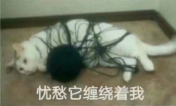 邪恶表情图第2期：戴佩妮听了都不敢怎样