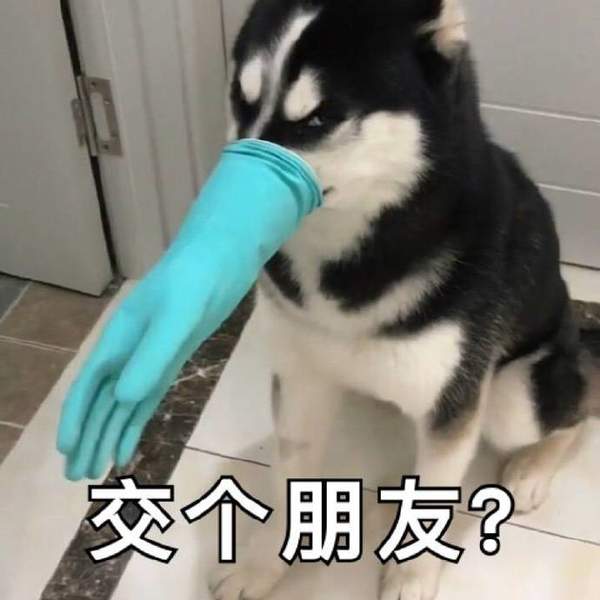 邪恶表情图第4期：如何与SB正常交流