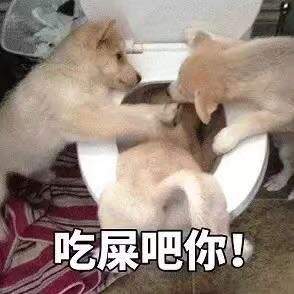 邪恶表情图第6期：儿女情长影响了我行走江湖