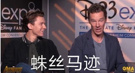小蛛配奇表情包大全 小蛛配奇表情包搞笑图片分享