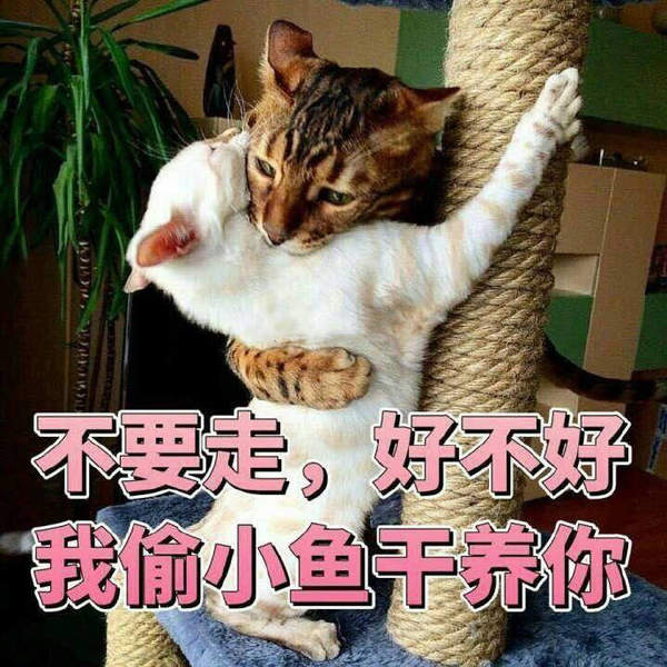 邪恶表情图第8期：蒙娜丽莎的憔悴