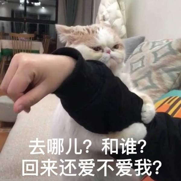 邪恶表情图第9期：我已经生无可恋了