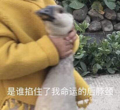 邪恶表情图第10期：今天的社会联播节目播送完了