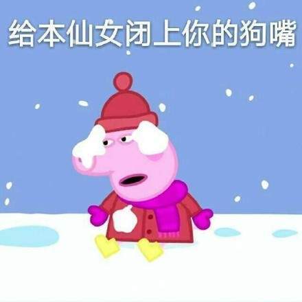 小猪佩奇不差钱表情包哪里有【完整版高清大图分享】