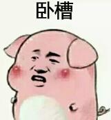抖音傲娇生气变猪表情包大全分享