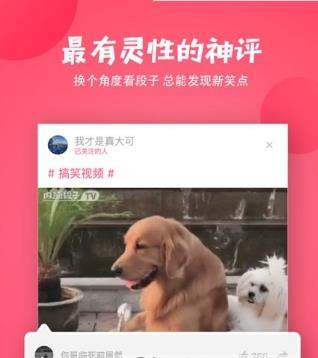 聚内涵是新版内涵段子吗_聚内涵和内涵段子有什么区别