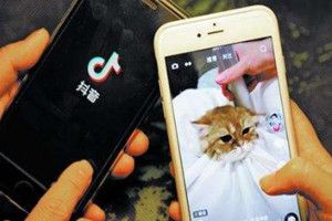 抖音里的音乐怎么下载到手机上?抖音上的歌曲怎么下载到手机上
