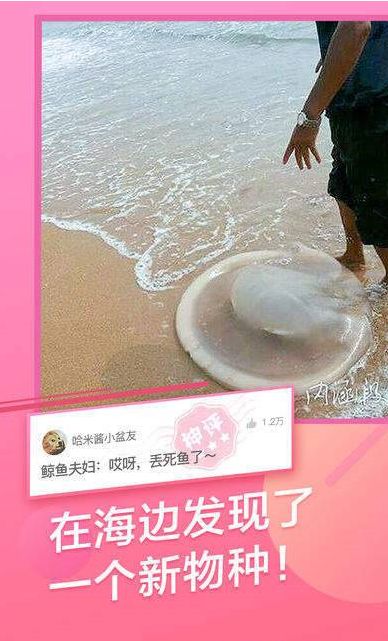1+9+0是什么意思怎么回答？1+9+0正确问题答案分析