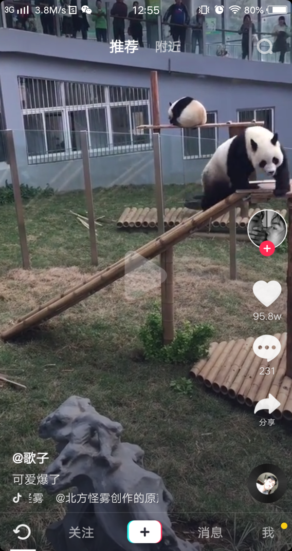 抖音皮大大什么梗?皮大大出处分享