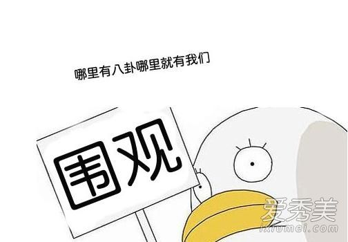 网易娱乐主编爆料的一线女星是谁 刘涛孙俪杨幂躺枪