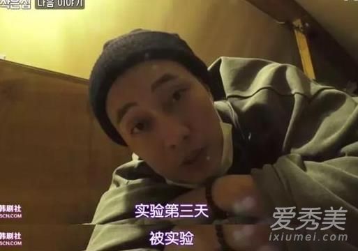 林中小屋在哪里可以看 林中小屋资源哪里有