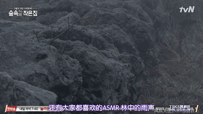 韩国综艺林中小屋收视率 林中小屋嘉宾名单