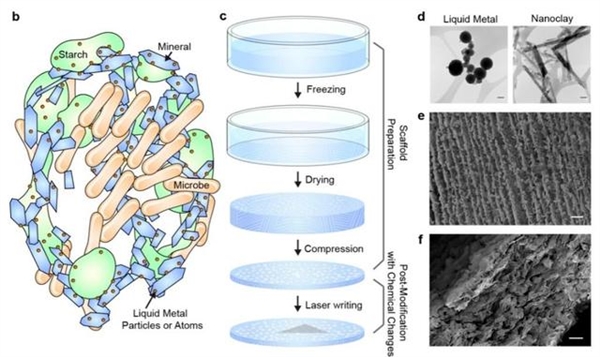 科学家证明吃“土”可治病！中国学者造出神奇的材料