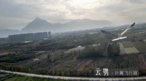 西工大仿鸟飞行器新突破：飞行时长达123分钟 可抗4级风