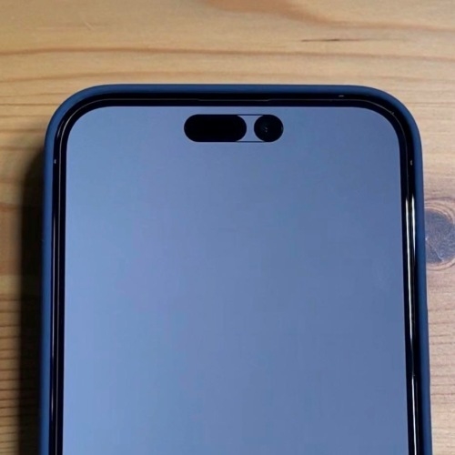 网友激活iPhone 14 Pro灵动岛特殊模式：画面辣眼睛