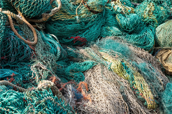 奔驰跟不跟！宝马：将使用“海洋垃圾”制作装饰件