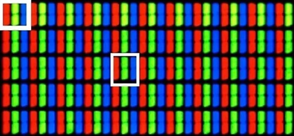 猫猫狗狗看电脑显示器是什么样的？很神奇