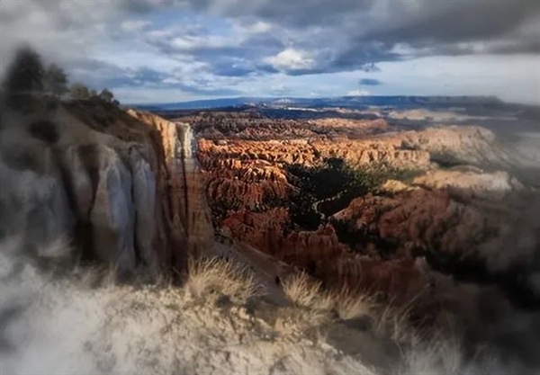 猫猫狗狗看电脑显示器是什么样的？很神奇