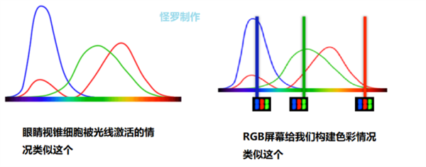 猫猫狗狗看电脑显示器是什么样的？很神奇