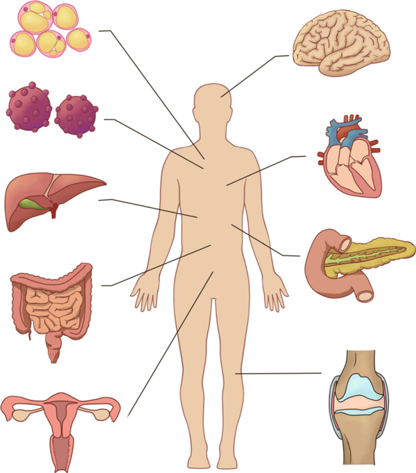早起先吃饭还是先刷牙？这里面有大学问