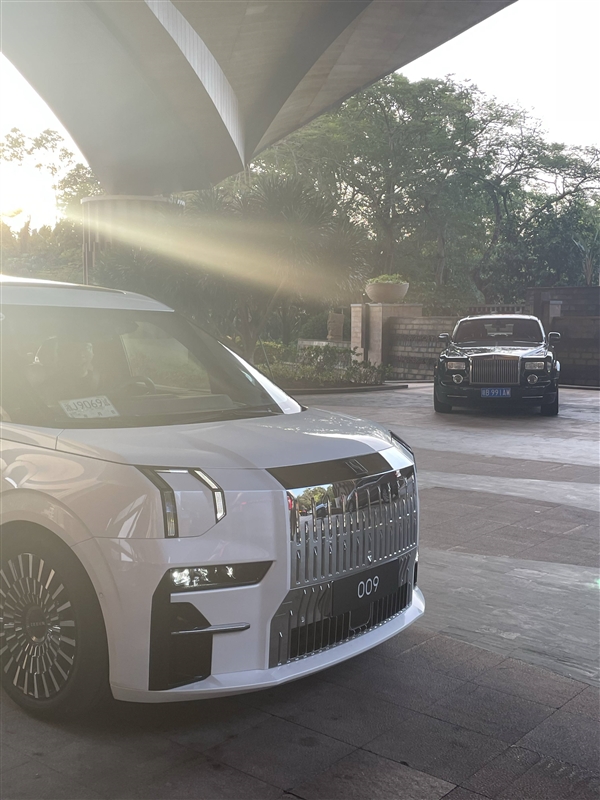 国人终于可以拒绝丰田埃尔法了