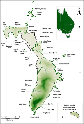 “灭绝”了80多年的蟑螂 怎么又重新出现了？！