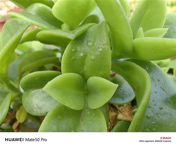 149分全球第一!华为超光变XMAGE影像到底有多牛?