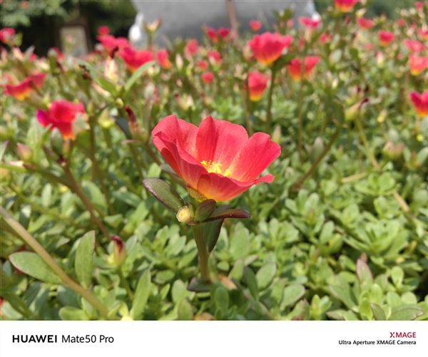 149分全球第一！华为超光变XMAGE影像到底有多牛？