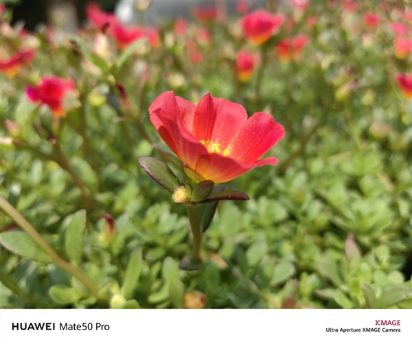 149分全球第一！华为超光变XMAGE影像到底有多牛？