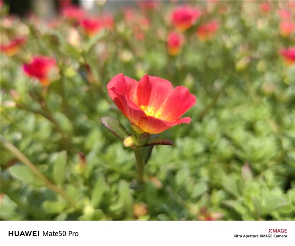 149分全球第一！华为超光变XMAGE影像到底有多牛？