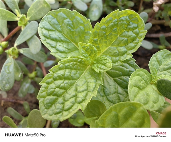 149分全球第一!华为超光变XMAGE影像到底有多牛?