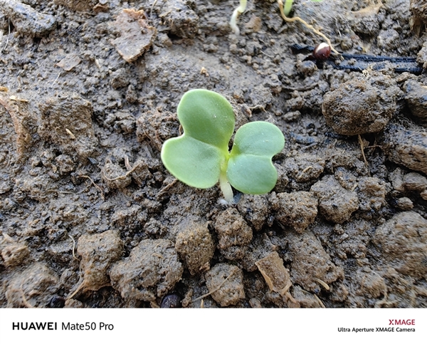 149分全球第一！华为超光变XMAGE影像到底有多牛？