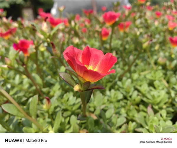 149分全球第一！华为超光变XMAGE影像到底有多牛？