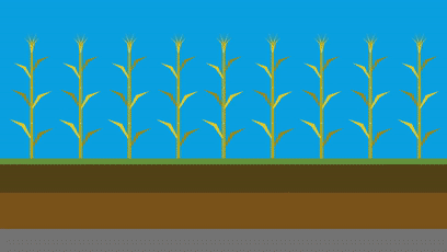 全球人口正式突破80亿：距离挤爆地球还有多久？