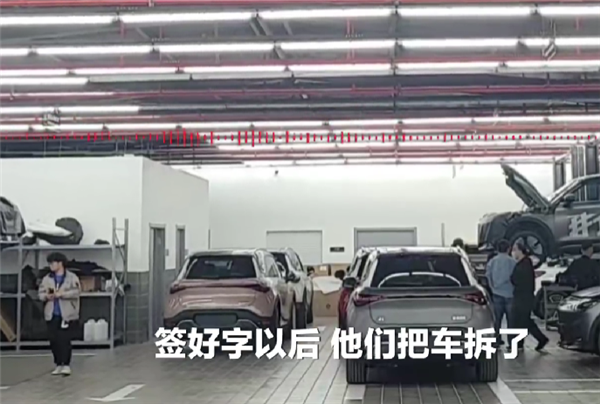 车主曝奔驰电动smart高速踏板失灵 官方：有此事、线路故障