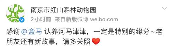 盒马认养了河马？真有这事儿！背后故事令人动容