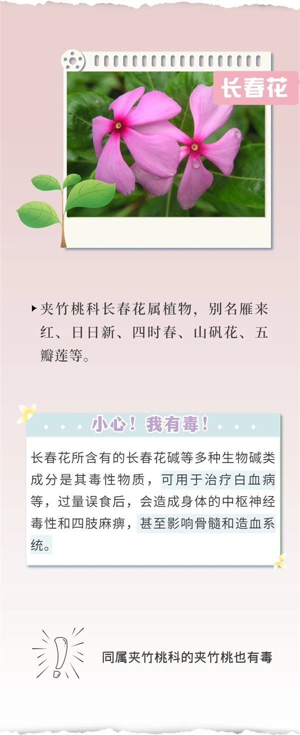 知名女演员最新大片引争议 网友惊呼：这花有毒！