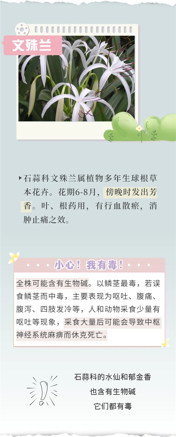 知名女演员最新大片引争议 网友惊呼：这花有毒！
