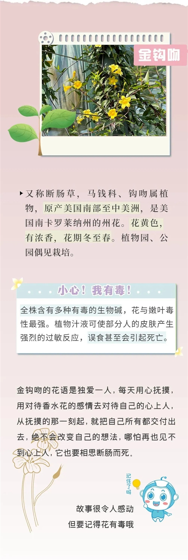 知名女演员最新大片引争议 网友惊呼：这花有毒！