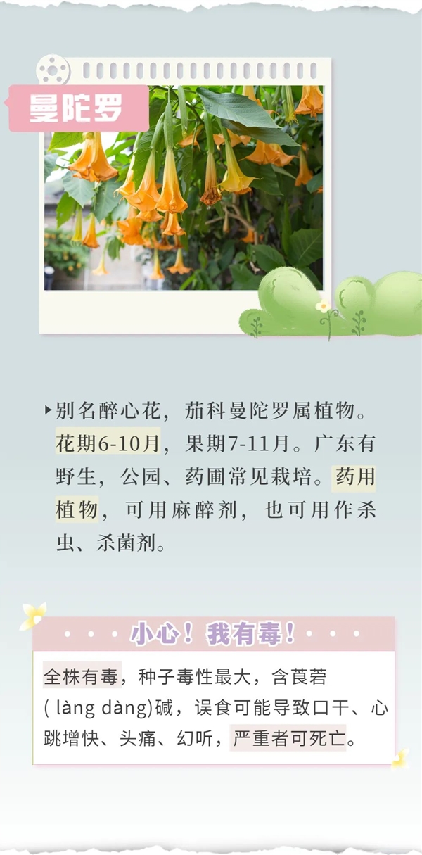 知名女演员最新大片引争议 网友惊呼：这花有毒！