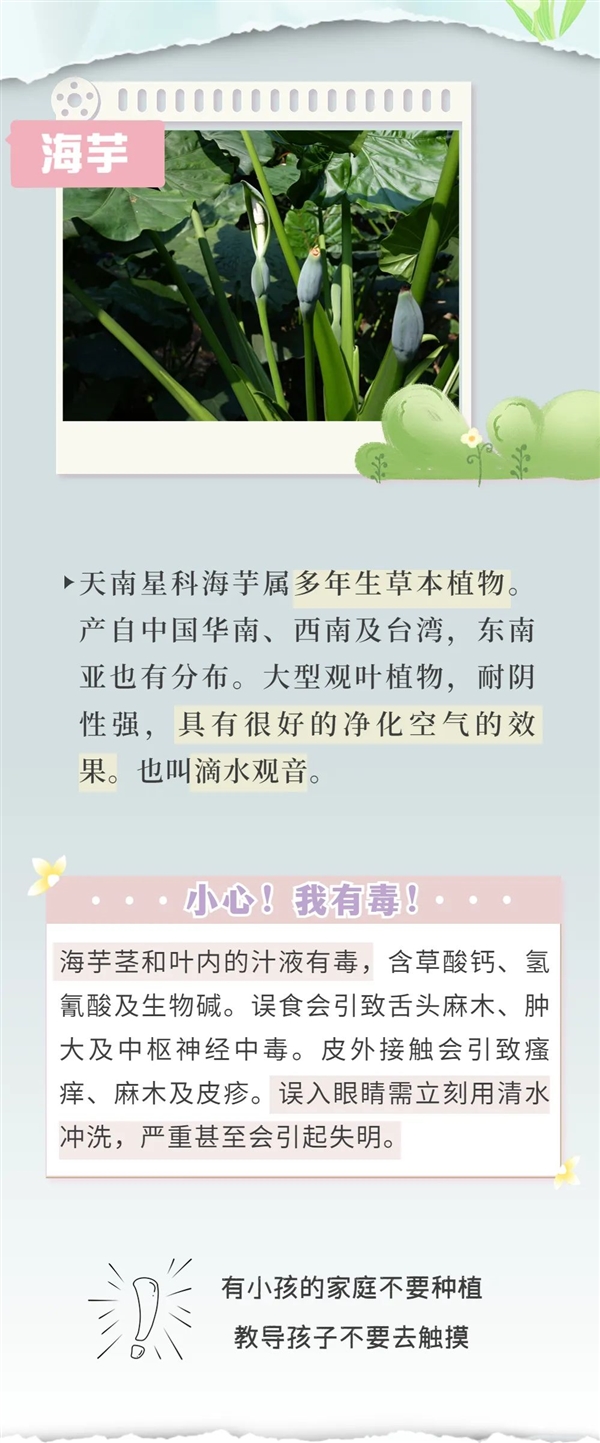 知名女演员最新大片引争议 网友惊呼：这花有毒！