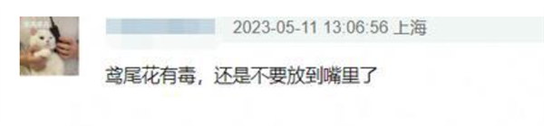 知名女演员最新大片引争议 网友惊呼：这花有毒！