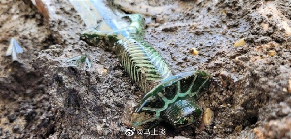 德国发现3000年前青铜剑 出土还发光:国内网友笑 是伪造?