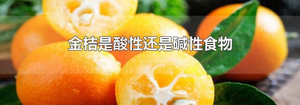 金桔是酸性还是碱性食物