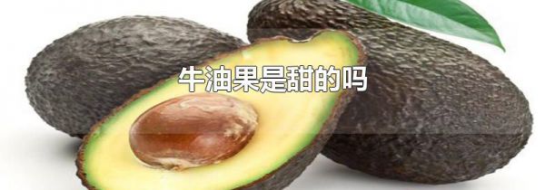 牛油果是甜的吗